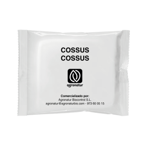 COSSUS COSSUS 1u