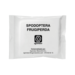 SPODOPTERA FRUGIPERDA 1u