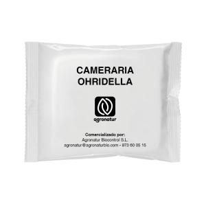 CAMERARIA OHRIDELLA 1u
