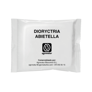 DIORYCTRIA ABIETELLA 1u