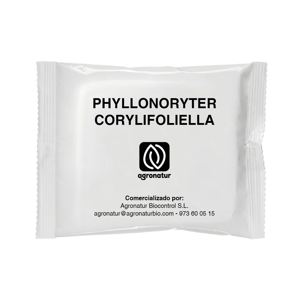 PHYLLONORYTER CORYLIFOLIELLA 1u