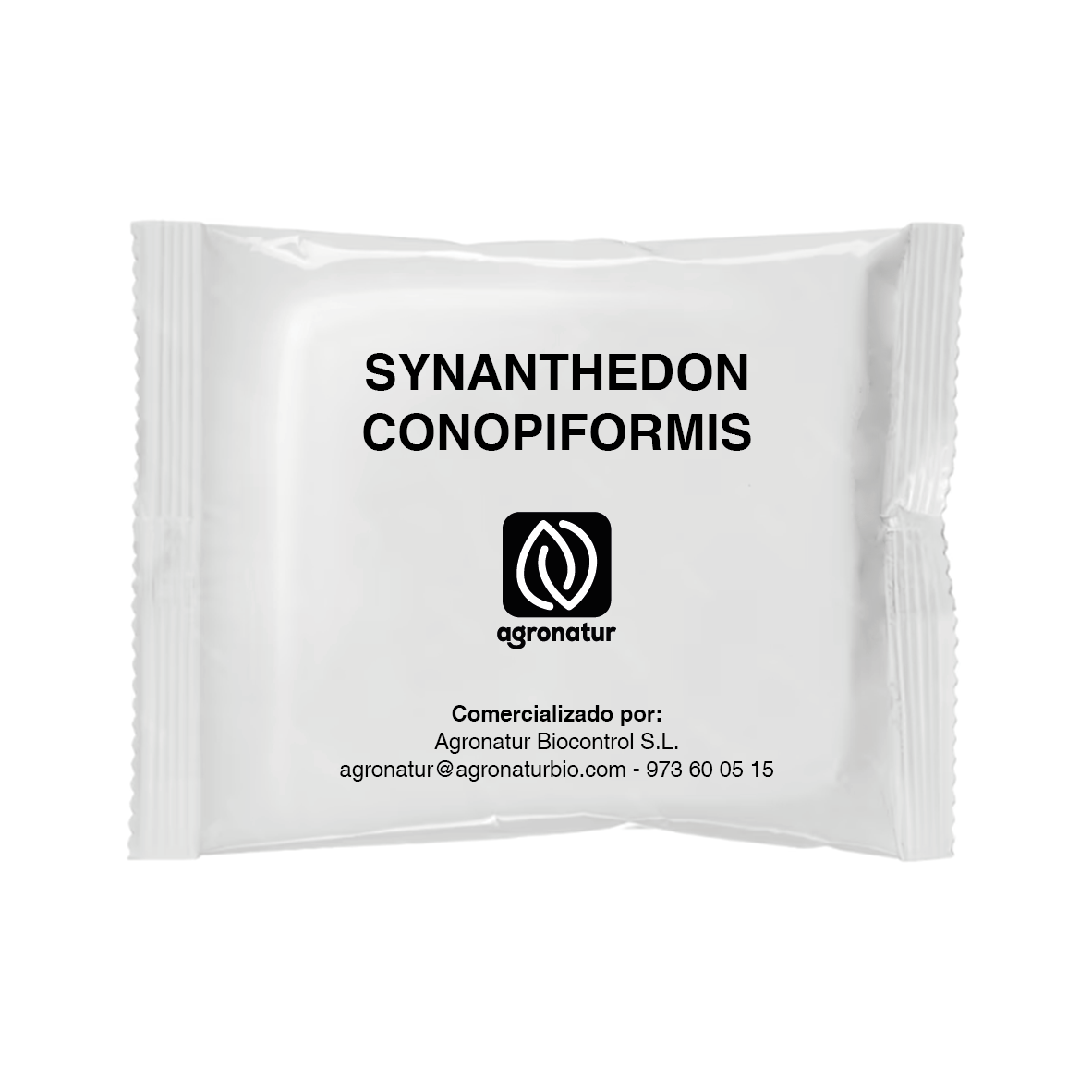 SYNANTHEDON CONOPIFORMIS 1u