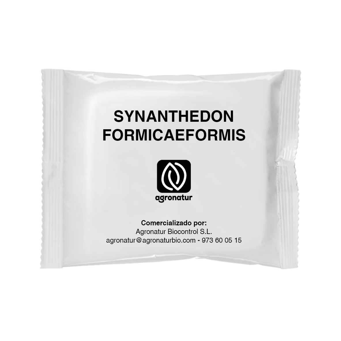 SYNANTHEDON FORMICAEFORMIS 1u