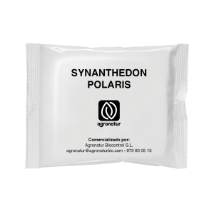 SYNANTHEDON POLARIS 1u