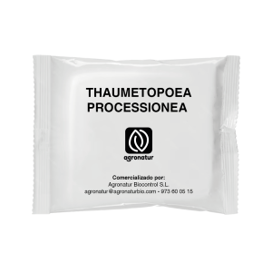 THAUMETOPOEA PROCESSIONEA 1u