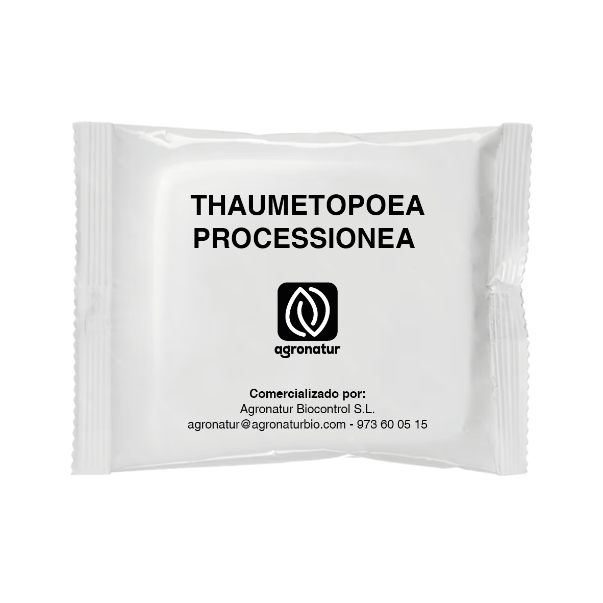 THAUMETOPOEA PROCESSIONEA 1u