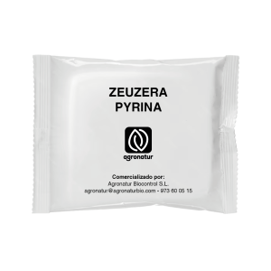 ZEUZERA PYRINA 3u