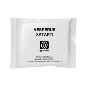 VESPERUS XATARTI 1u