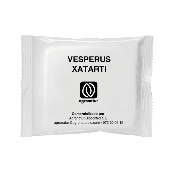 VESPERUS XATARTI 1u